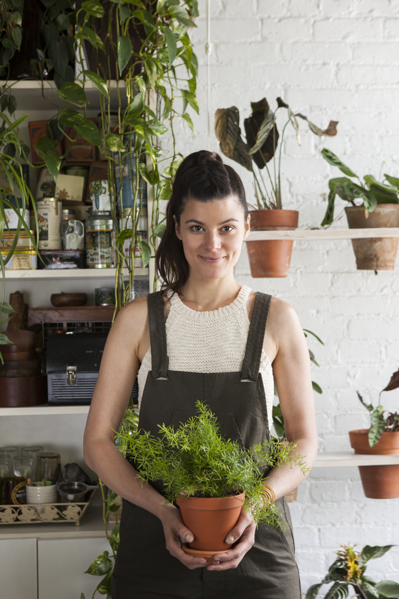 summer-com-vaso-de-plantas-e-horta-vertical