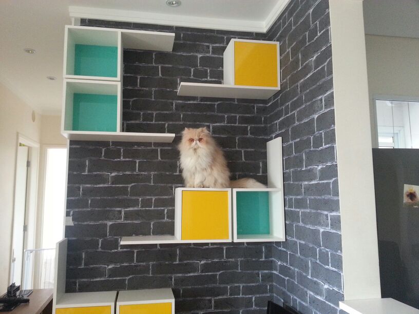Modulos decorativos_gatos_1