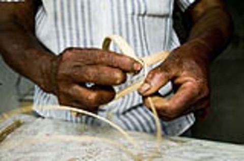 paralela