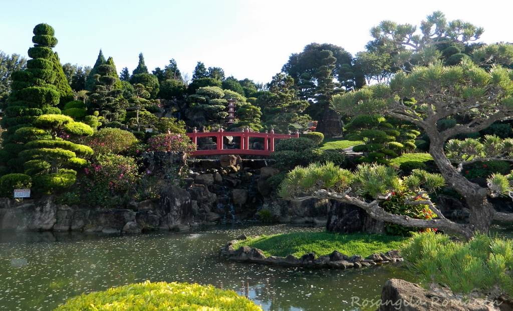 Jardim japonês em casa: crie um refúgio de paz e harmonia
