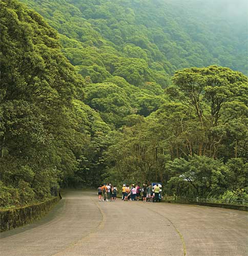 Uma jornada pelo antigo Caminho do Mar &eacute; uma verdadeira aula ao ar livre.