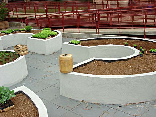 Uma pequena horta rotativa será cultivada pelas crianças do Instituto Verde...
