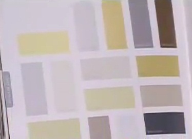 sem medo decor