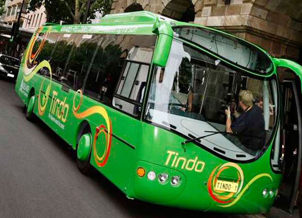tindo-bus-2-copy