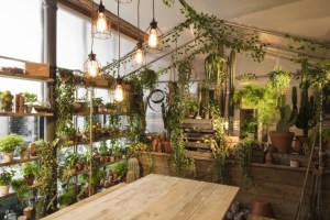 3-airbnb-e-pantone-fazem-parceria-e-criam-casa-com-lindos-jardins