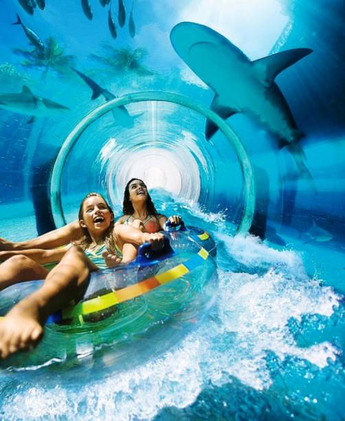 A piscina do <a href="https://www.goldennugget.com">Golden Nugget</a> carrega a fama de Las Vegas. Como na cidade, a área também tem as suas loucuras. Com um tanque cheio de tubarões. A piscina fica ao lado. Existe um tobogã onde você pode deslizar e ficar bem pertinho deles.