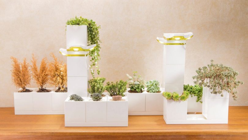 Jardim é feito com vasos encaixáveis tipo Lego