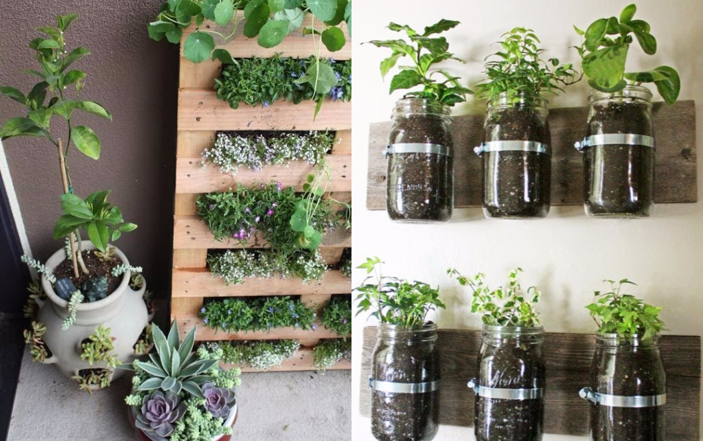 9 ideias para cultivar uma horta mesmo sem ter um jardim em casa
