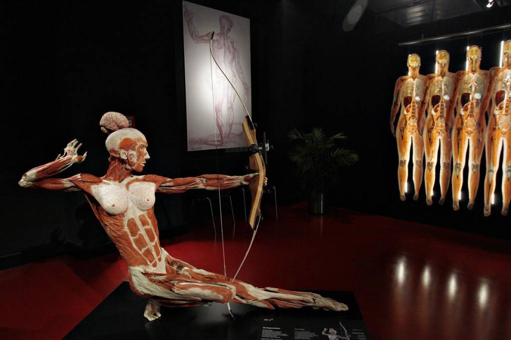 plastinarium-guben-germany.adapt.1190.1