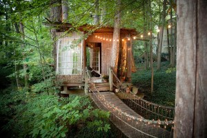 casa-árvore-airbnb (6)