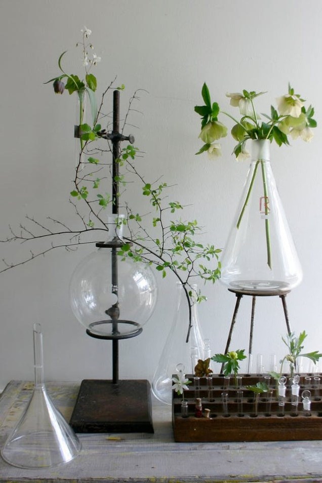 <span style="font-weight:400;">Frascos e copos de química podem virar vasos para acomodar suas flores. </span>