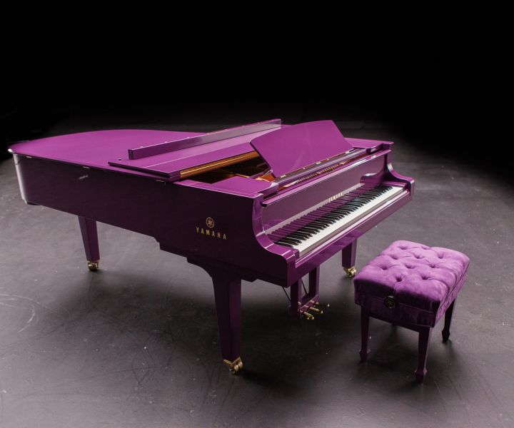 prince (1)