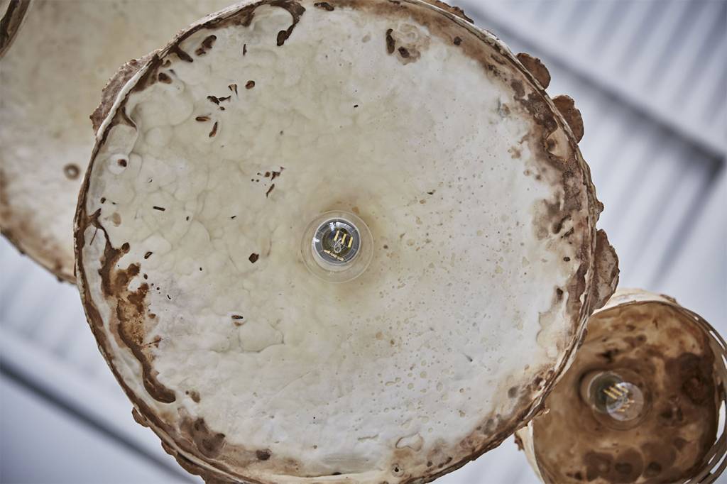 móveis de cogumelo