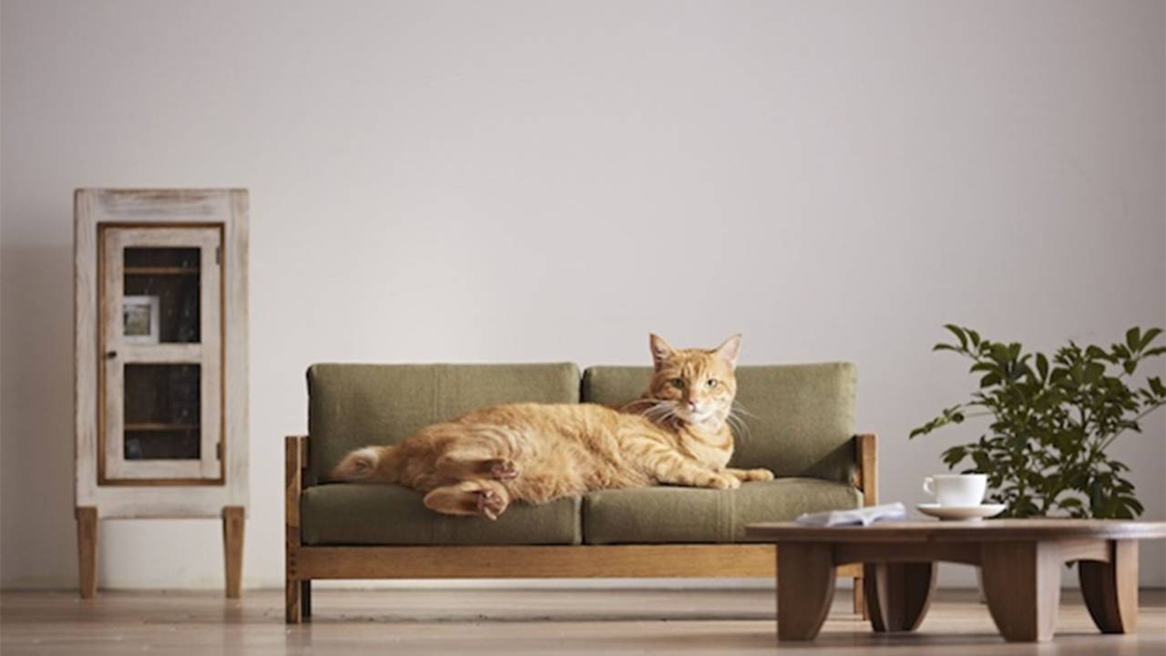 móveis para gatos