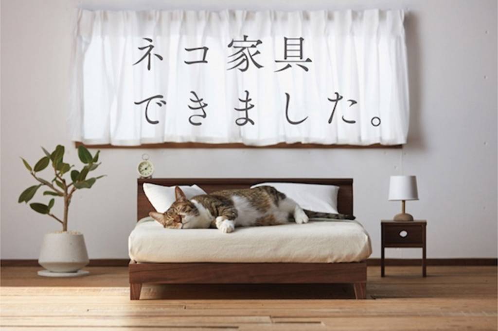 móveis para gatos