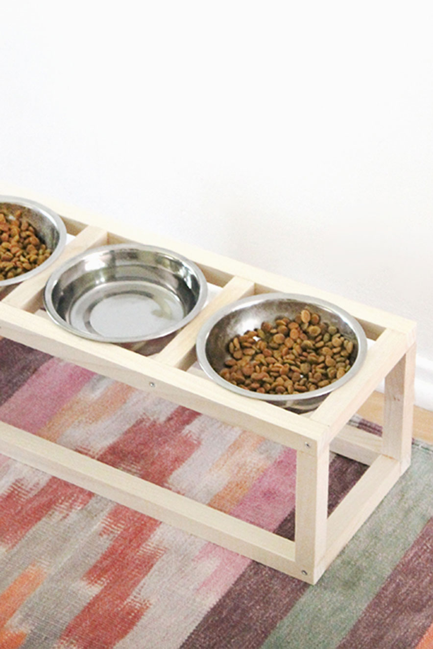 recipiente comida gato