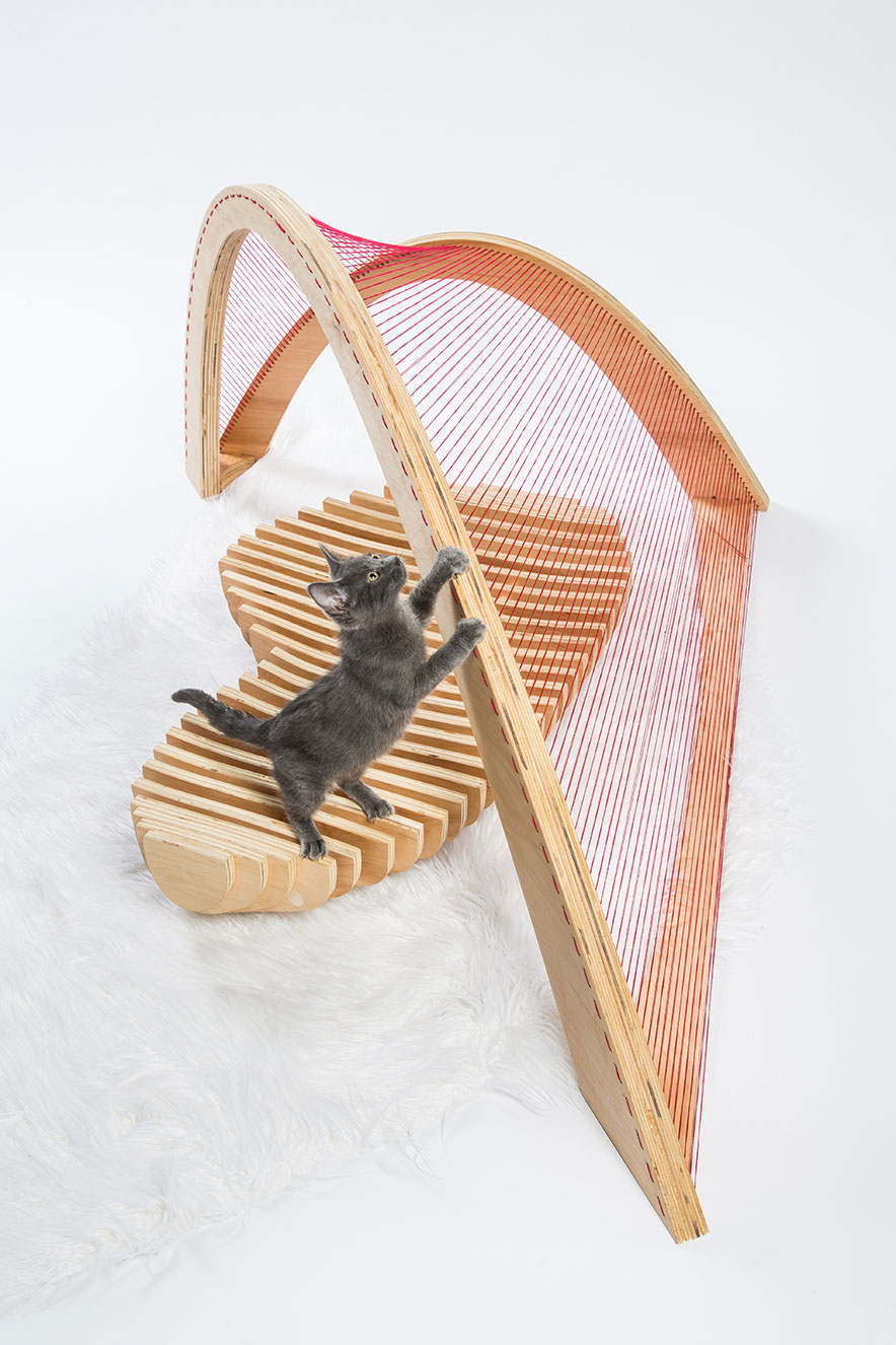 abrigos para gatos