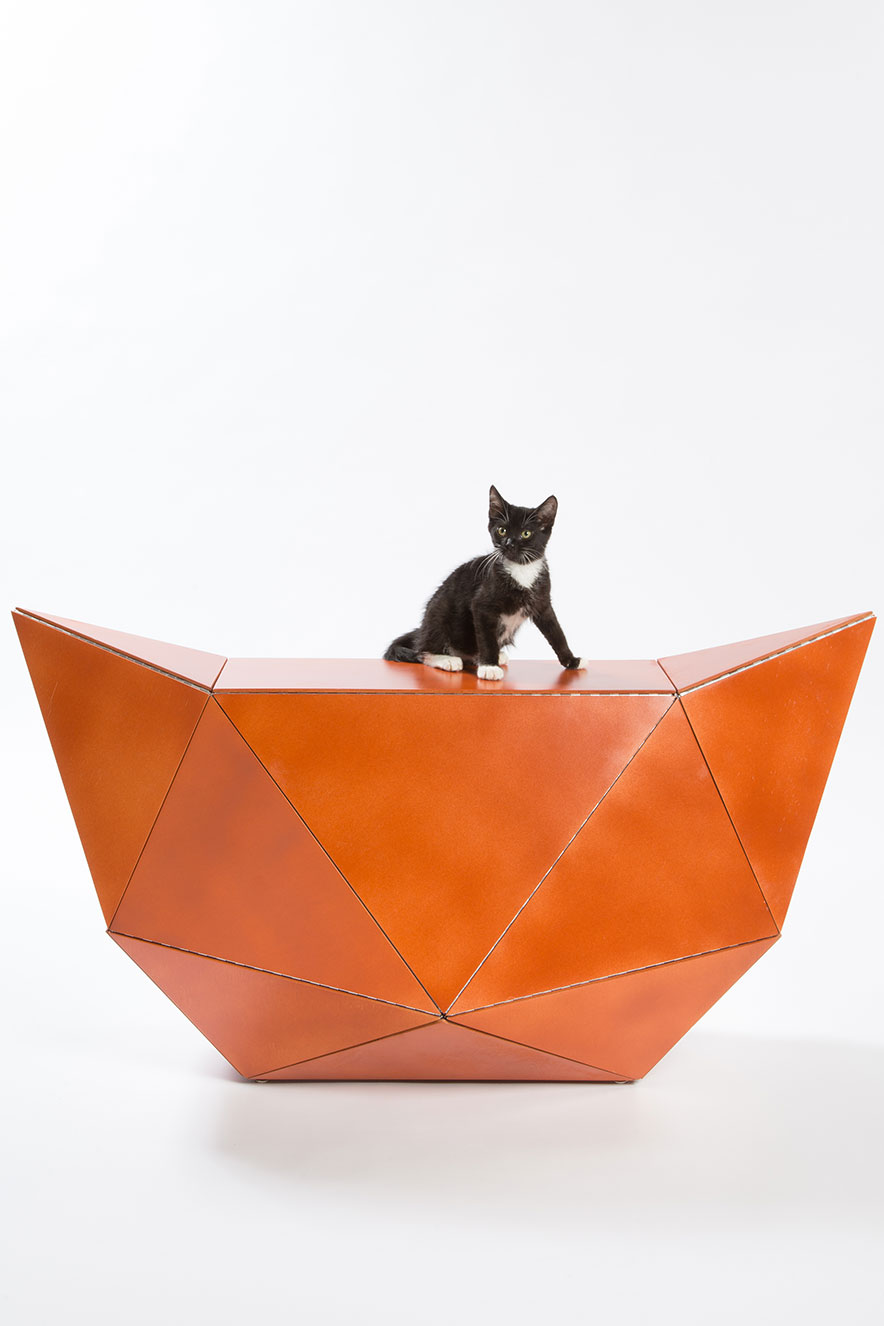 abrigos para gatos
