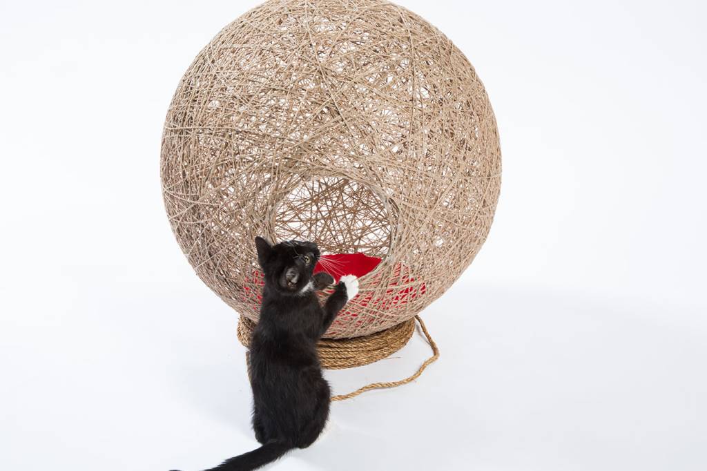 abrigos para gatos