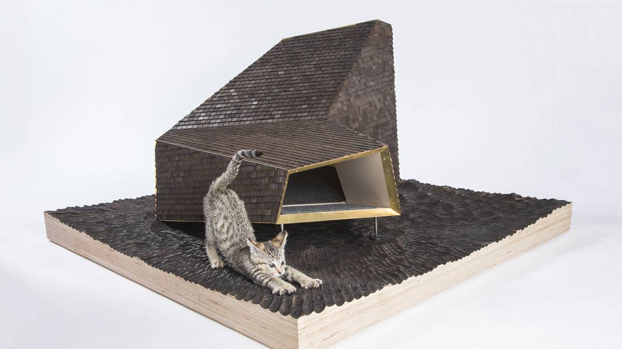 abrigos para gatos