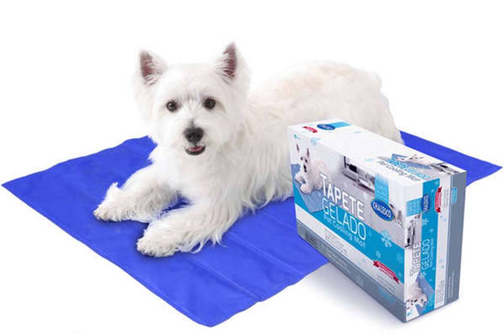 presentes de Natal para o seu bichinho de estimação