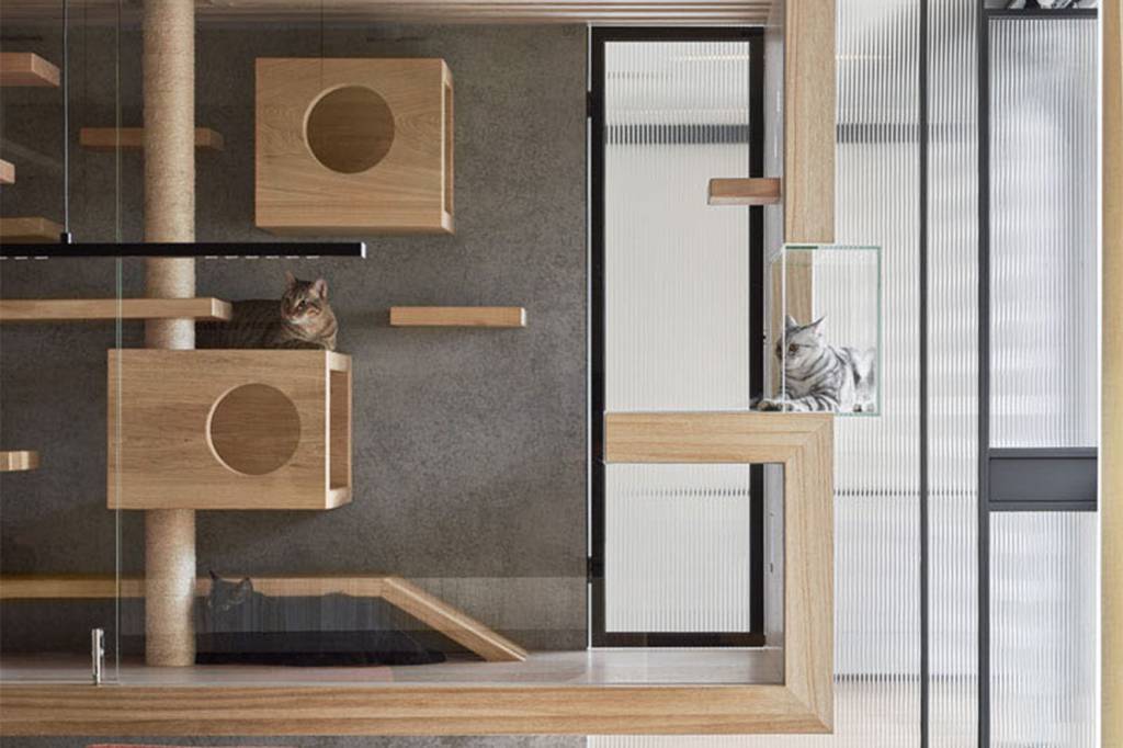 casa para gatos integrada
