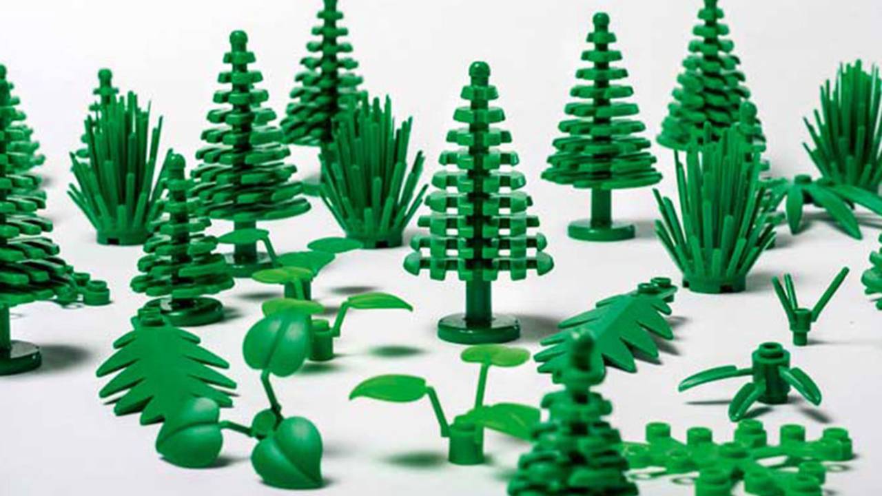Lego cana de açúcar