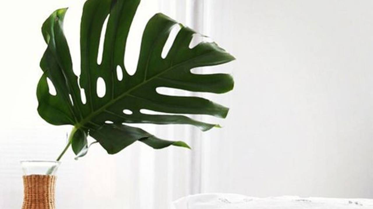 tendências pinterest