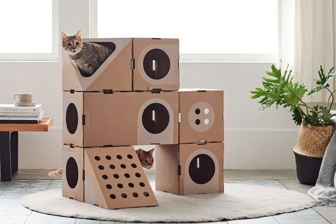 torres para gatos de papelão