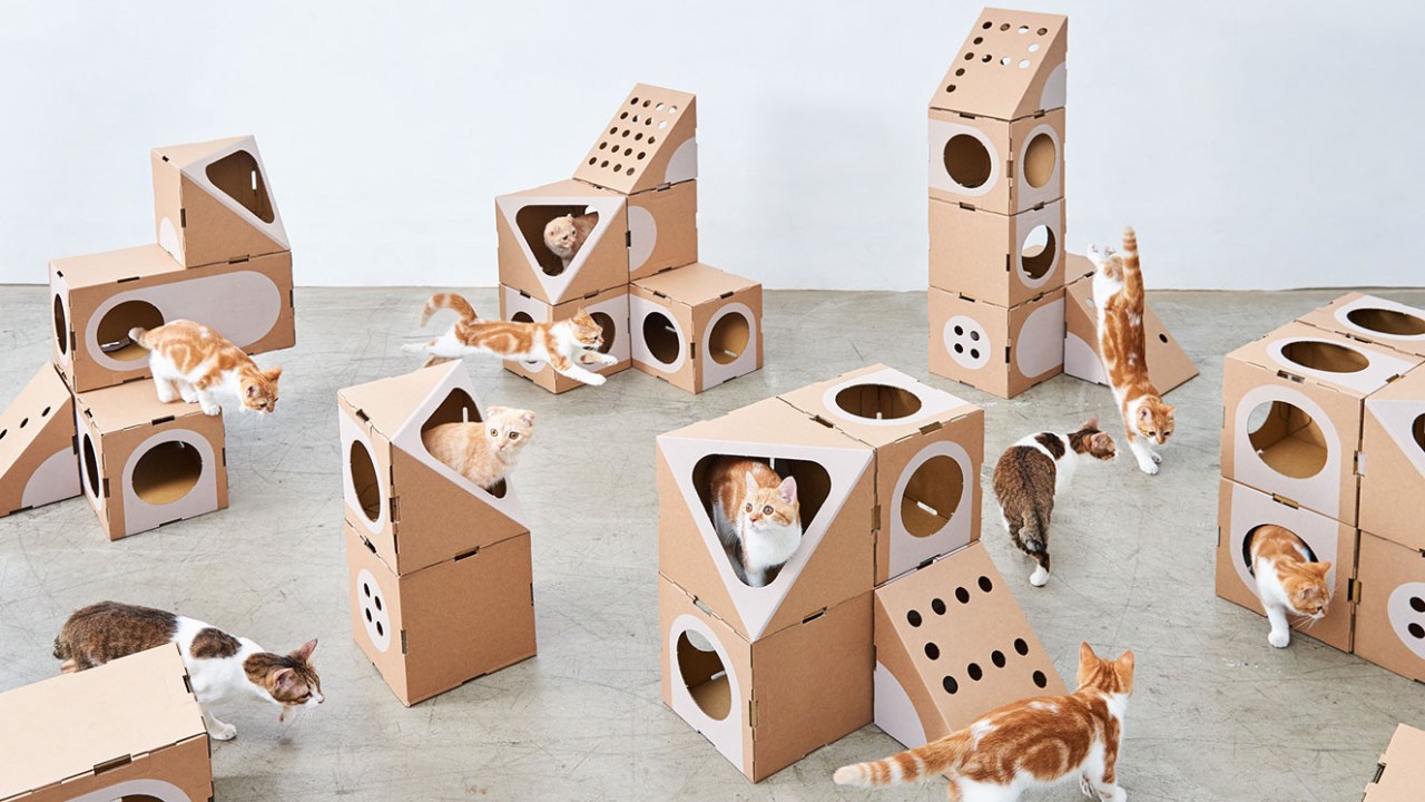 torres para gatos de papelão