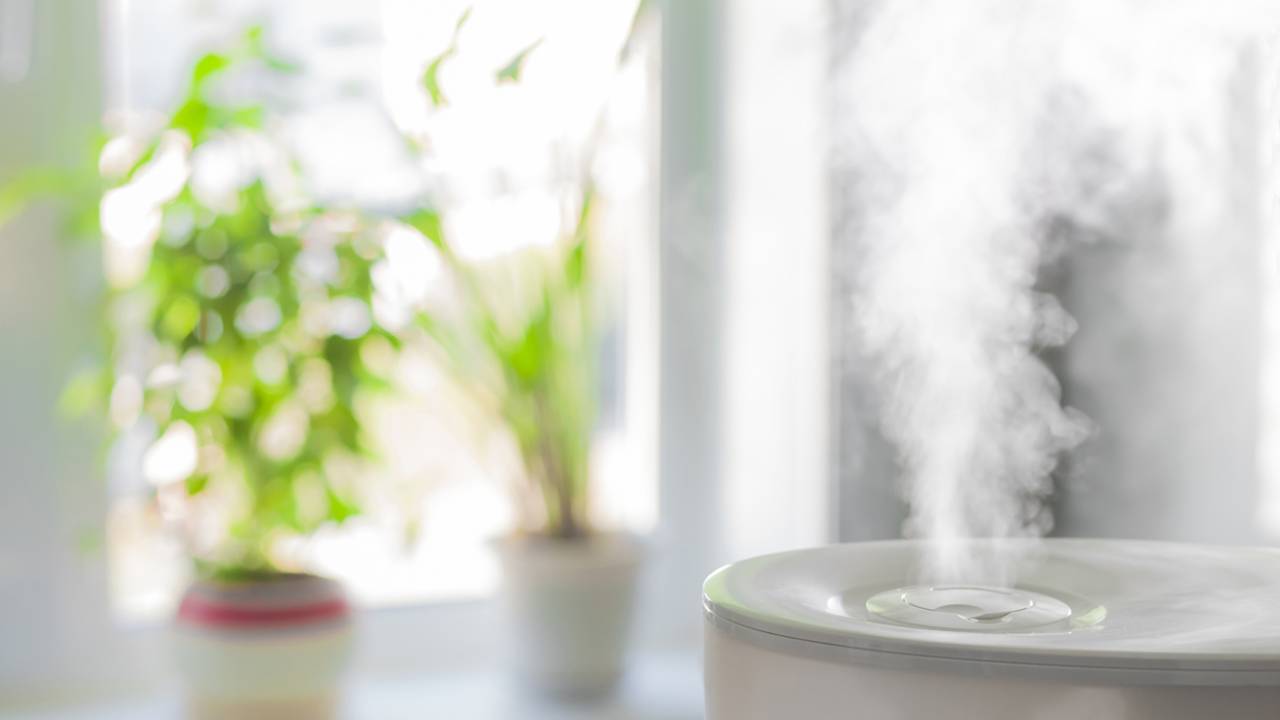 Vapor de umidificador em frente a uma janela com vasos e plantas.