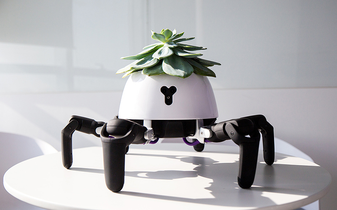 robô em formato de aranha, com estrutura branca e pernas pretas e uma suculenta na parte superior