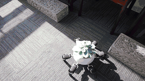 robô com suculenta caminhando do sol para a sombra