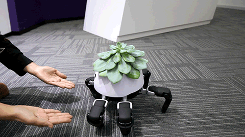 robô com suculenta colocando as patas na mão de alguém