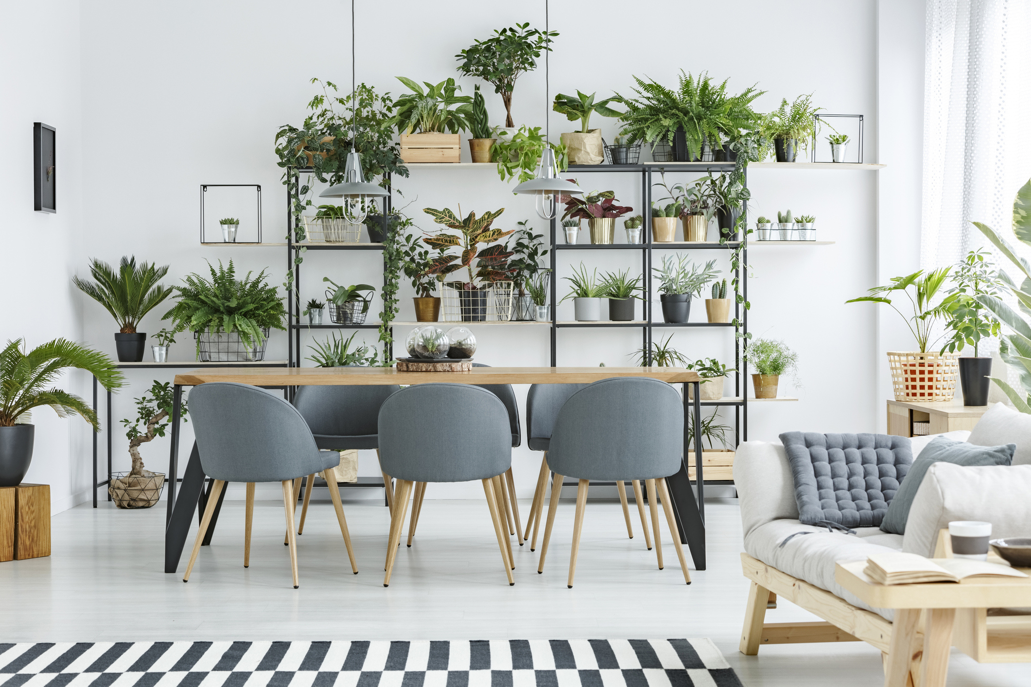 sala de jantar com mesa de madeira e cadeiras com estofado cinza. Estante com diversas plantas