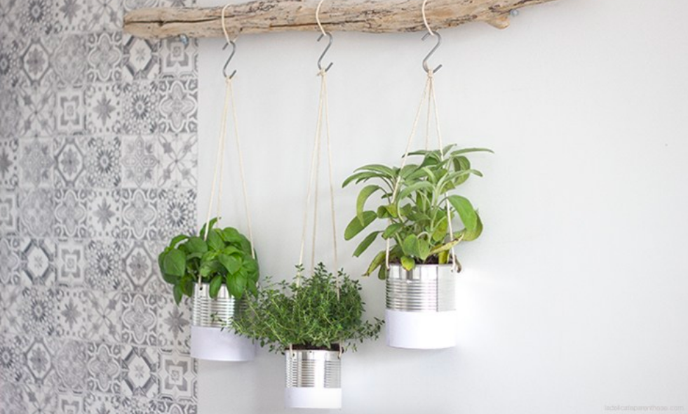 Horta de temperos