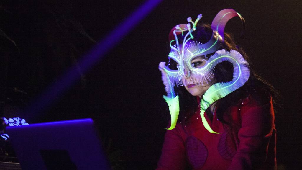 5-bjork-digital-mis 5-bjork-digital-mis