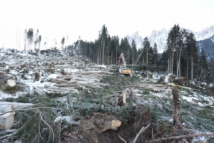 piuarch-la-foresta-dei-violini-milan-design-week-designboom-6