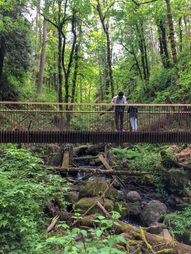 Forest Park Bridges - Localizado em Forest Park, em Portland, Oregon, um dos maiores parques urbanos florestais do país, o projeto consistia em fornecer pontes de reposição duráveis, escaláveis e seguras para três populares e amadas trilhas para caminhada.