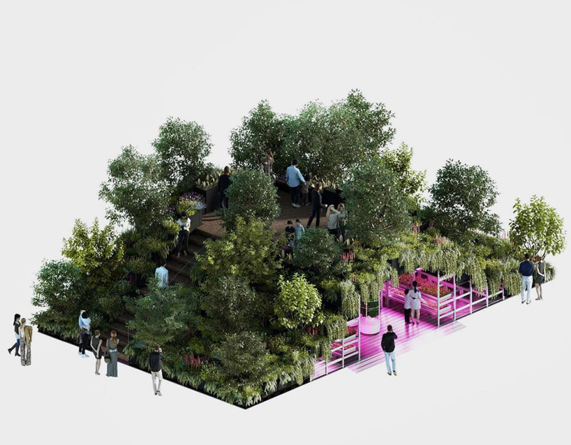 A jardinagem vai salvar o mundo