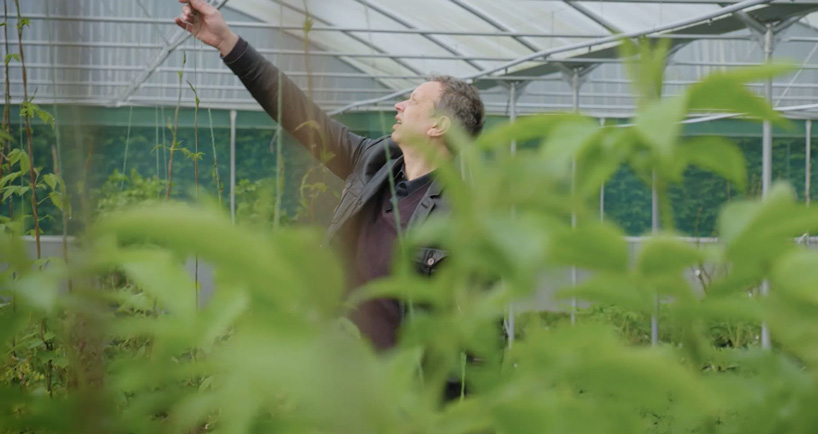 A jardinagem vai salvar o mundo