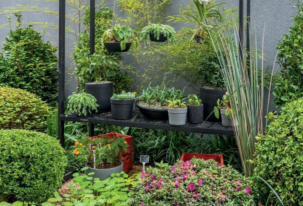 inverno_cuidados_com_plantas_jardim_Renato_Navarro