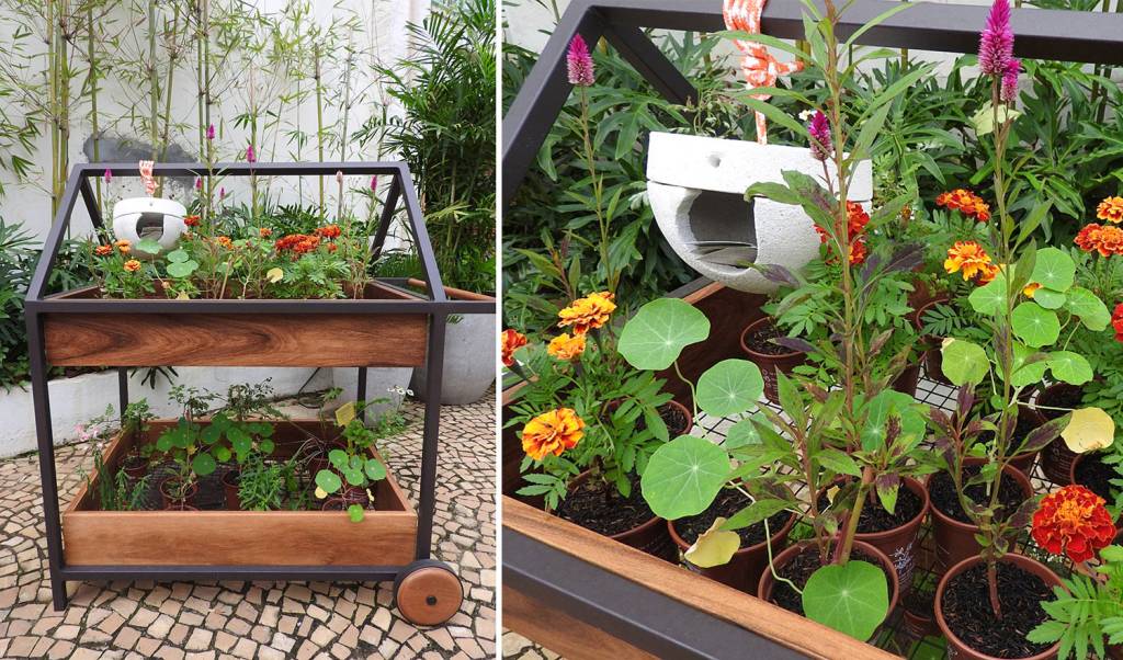 plantar-ideias