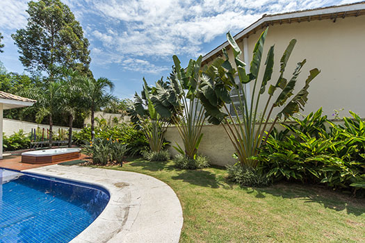 4-jardim-tropical-exibe-variedade-de-especies-e-atmosfera-relax 4-jardim-tropical-exibe-variedade-de-especies-e-atmosfera-relax