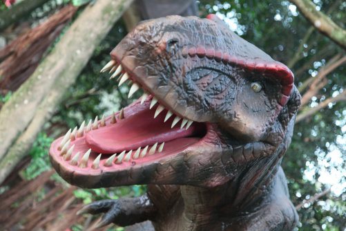 3-confira-5-passeios-imperdiveis-em-sao-paulo-para-crianças-que-amam-dinossauros 3-confira-5-passeios-imperdiveis-em-sao-paulo-para-crianças-que-amam-dinossauros