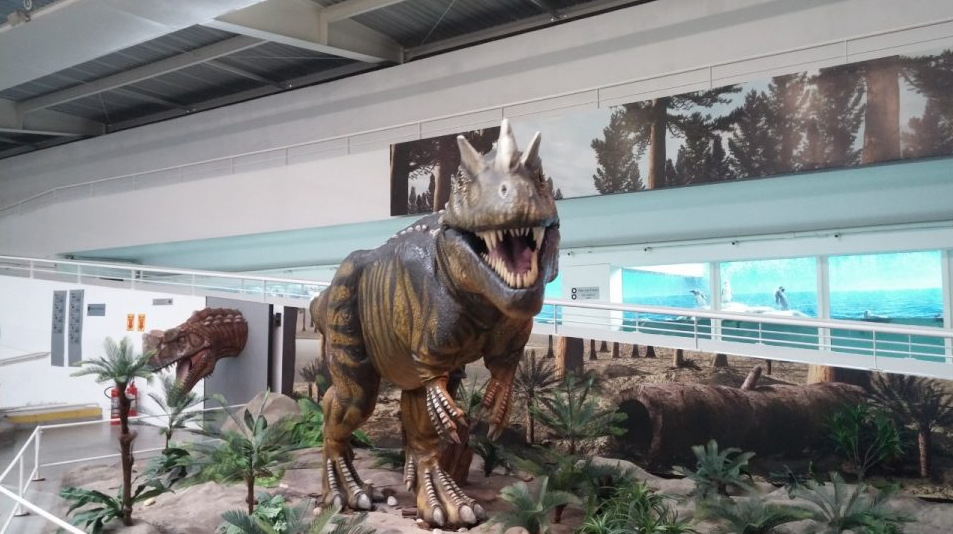 7-confira-5-passeios-imperdiveis-em-sao-paulo-para-crianças-que-amam-dinossauros 7-confira-5-passeios-imperdiveis-em-sao-paulo-para-crianças-que-amam-dinossauros