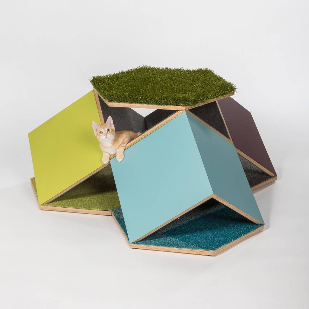 architects-for-animals-2019_dezeen_2364_col_0 architects-for-animals-2019_dezeen_2364_col_0