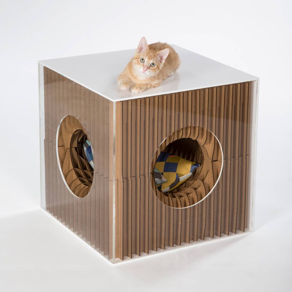 architects-for-animals-2019_dezeen_2364_col_3 architects-for-animals-2019_dezeen_2364_col_3