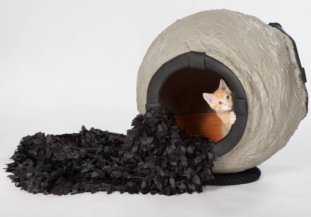 architects-for-animals-2019_dezeen_2364_col_8 architects-for-animals-2019_dezeen_2364_col_8