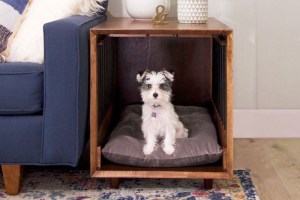 How-to-Build-a-Dog-Crate-That-Doubles-as-an-End-Table-(Picture-Tutorial)